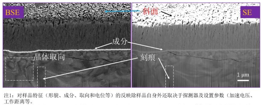 SEM成像原理：深度解析背散射电子与二次电子