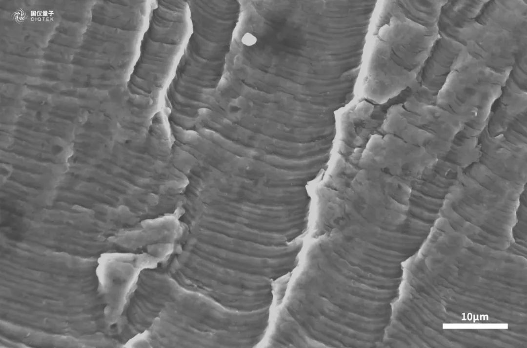 涂/镀层失效分析