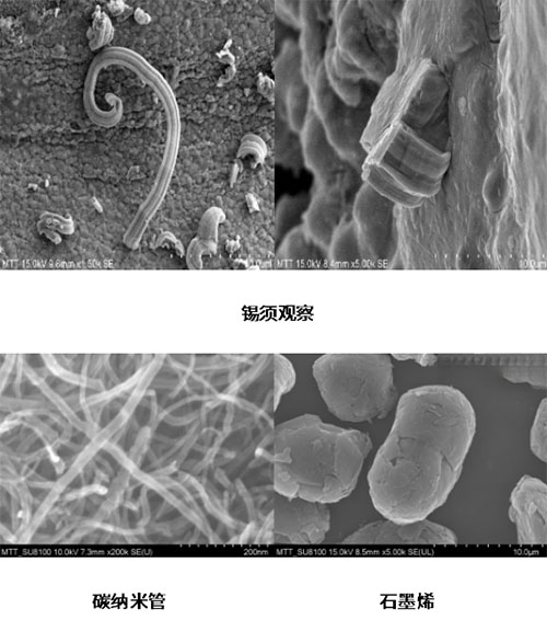 形貌观察与测量