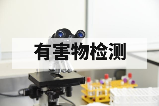 有毒有害物质检测核心项目、分析方法与全球合规指南