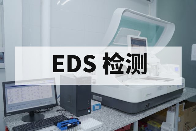 为什么 EDS 能谱分析测碳（C）、氮（N）、氧（O）轻元素不准？原理与影响因素解析