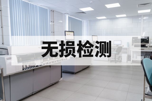 锂电池内部结构无损检测服务与技术解析